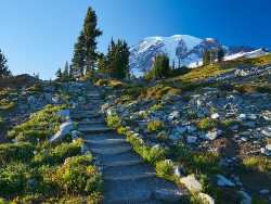 Photo of Skyline Hiking Trail